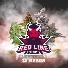 Red Line Automix > BSF Seeds